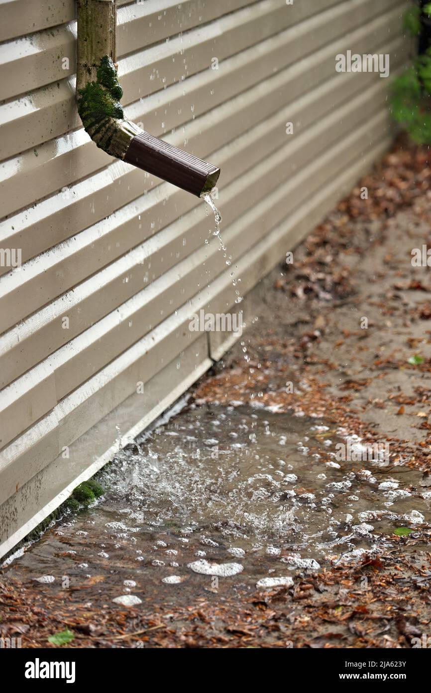 Regenwasser strömt aus einem kurzen Downspout auf der Seite des Hauses, das sich durch das Fundament zusammensammelt Stockfoto