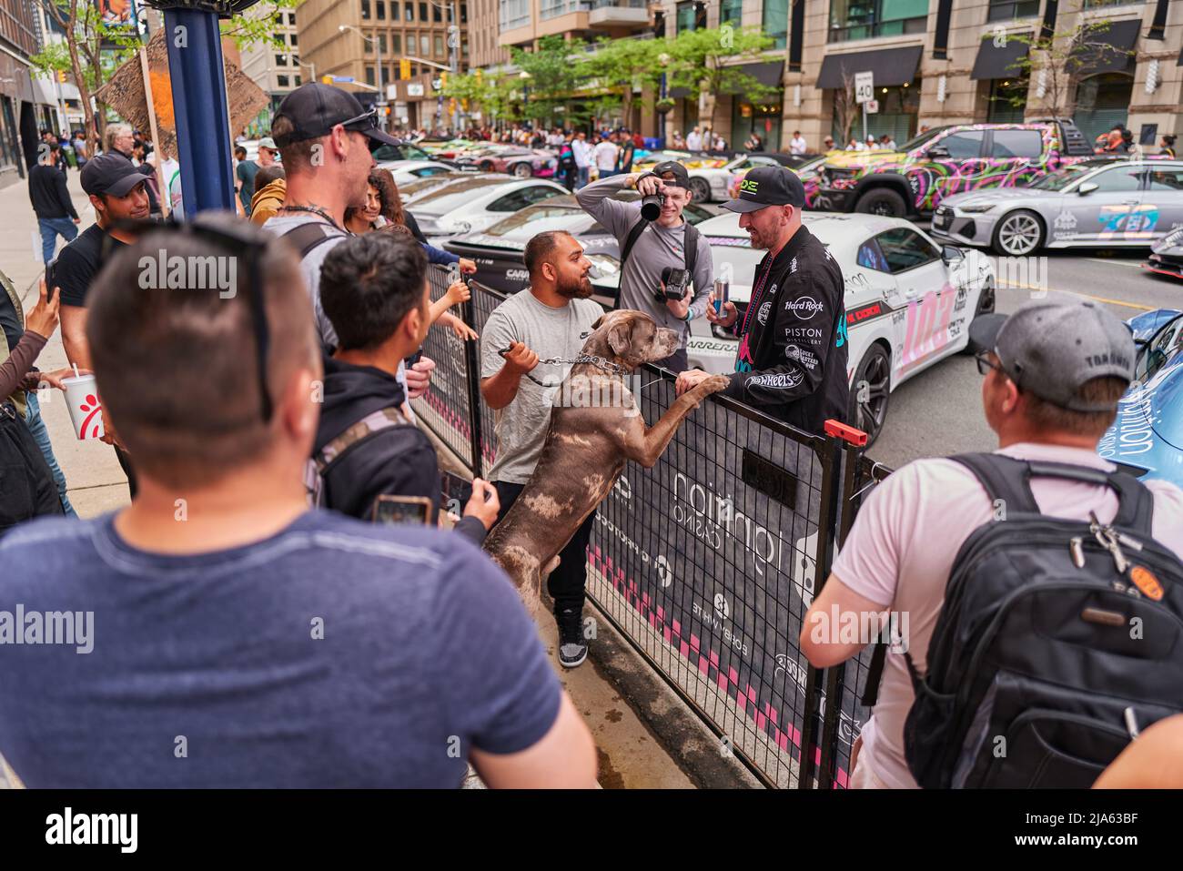 Gumball 3000 Car Rally Toronto Stockfoto