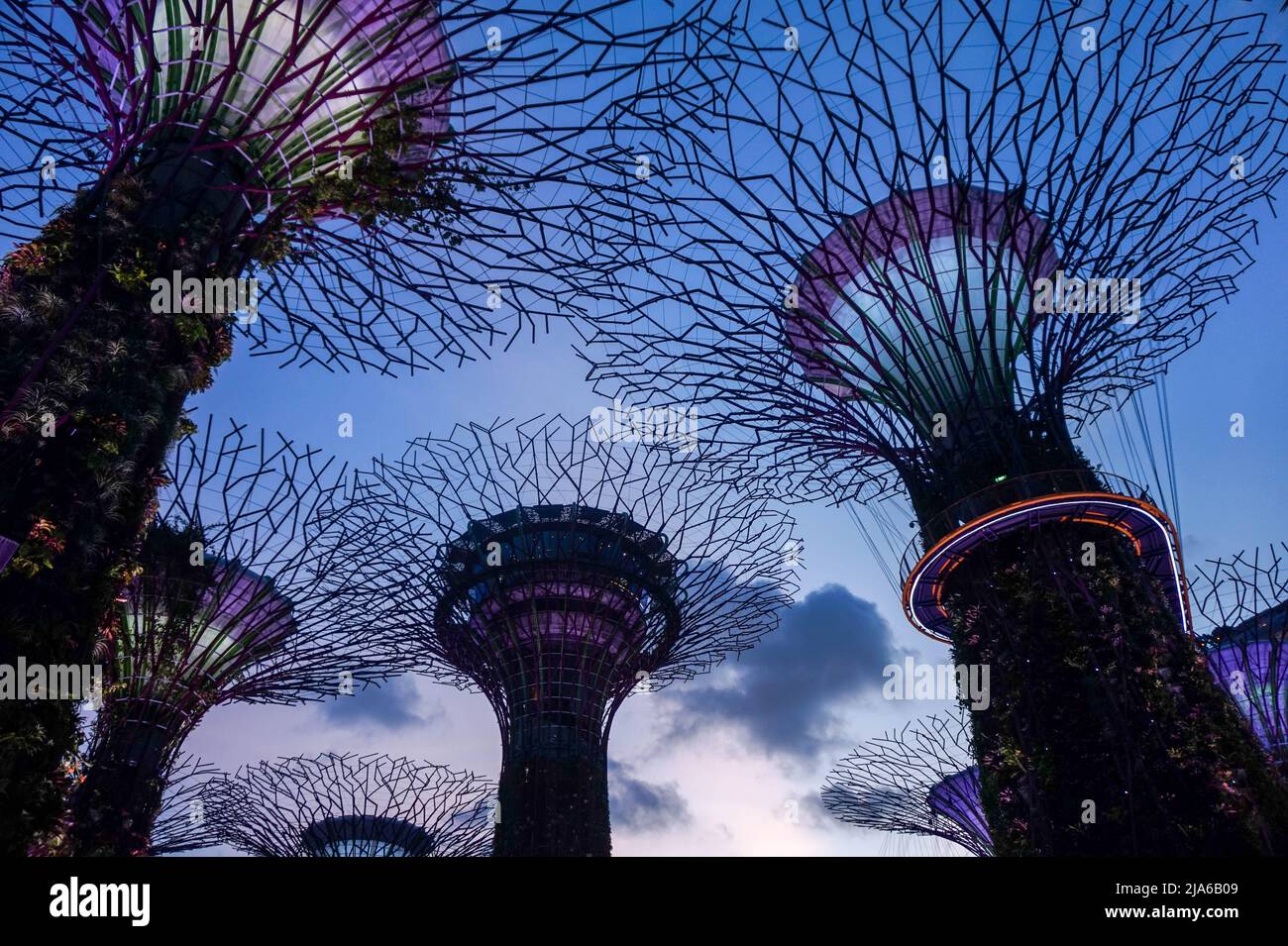 Man machte Bäume Beobachtungstürme in Singapur Stockfoto
