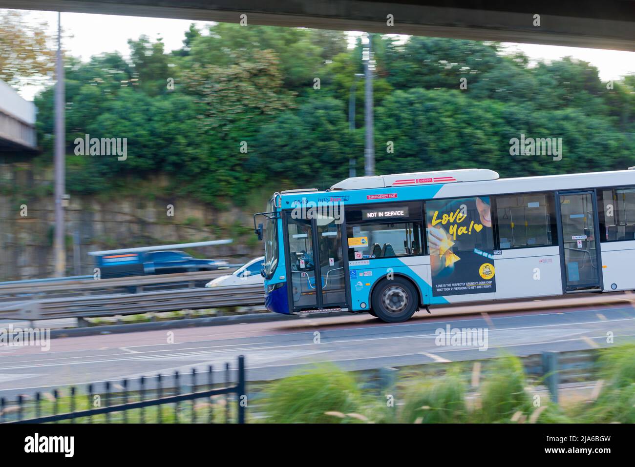 Ein blau-weißer, ehemals im Staatsbesitz befindliches, jetzt auslaendisches Pendlerbus, der im Verkehr auf dem Gore Hill Freeway, Sydney, New South Wales, Australien, fährt Stockfoto