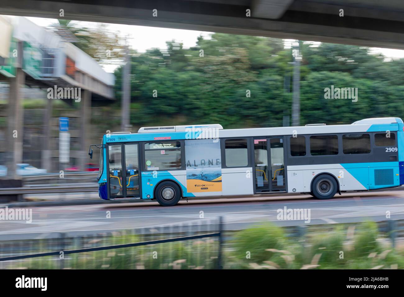 Ein blau-weißer, ehemals im Staatsbesitz befindliches, jetzt auslaendisches Pendlerbus, der im Verkehr auf dem Gore Hill Freeway, Sydney, New South Wales, Australien, fährt Stockfoto