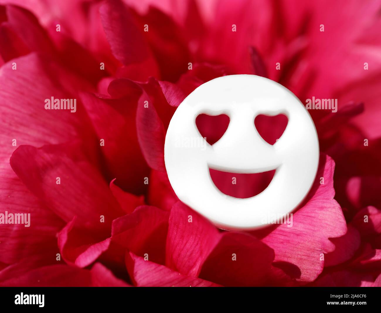 Weißes lächelndes Gesicht mit Herzaugen in roten Rosenblättern, Konzeptbild für Valentinstag oder Verliebtheit Stockfoto