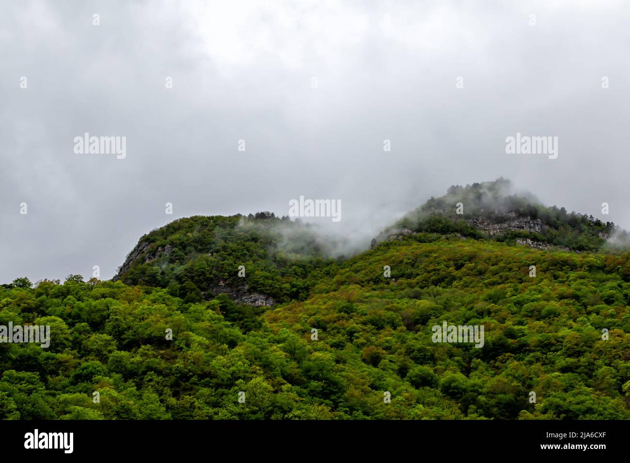 Bergwald bei regnerischem Wetter mit niedrig bewölkten Wolken bedeckt Stockfoto