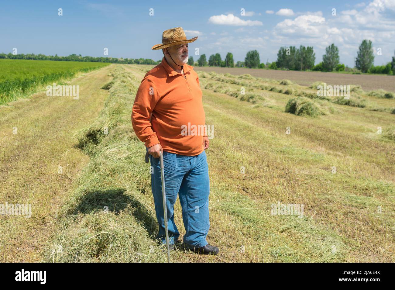 Ganzkörperportrait des bärtigen kaukasischen Senior Farmers stehend landwirtschaftlichen Feld in der Zentralukraine und freuen uns Stockfoto