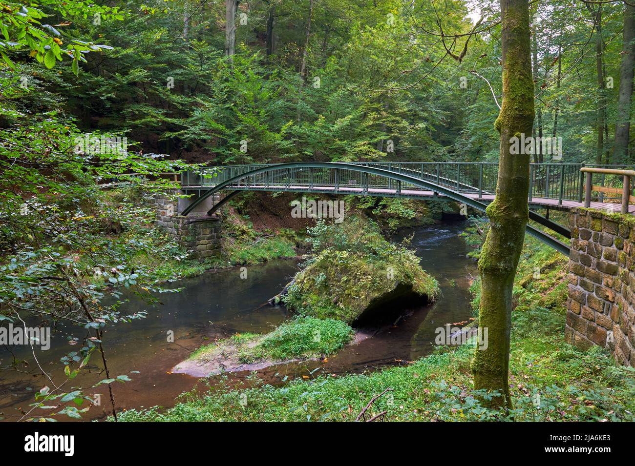 Malerische Landschaft in der Wilden Schlucht in der Böhmischen Schweiz. Tschechische Republik Stockfoto