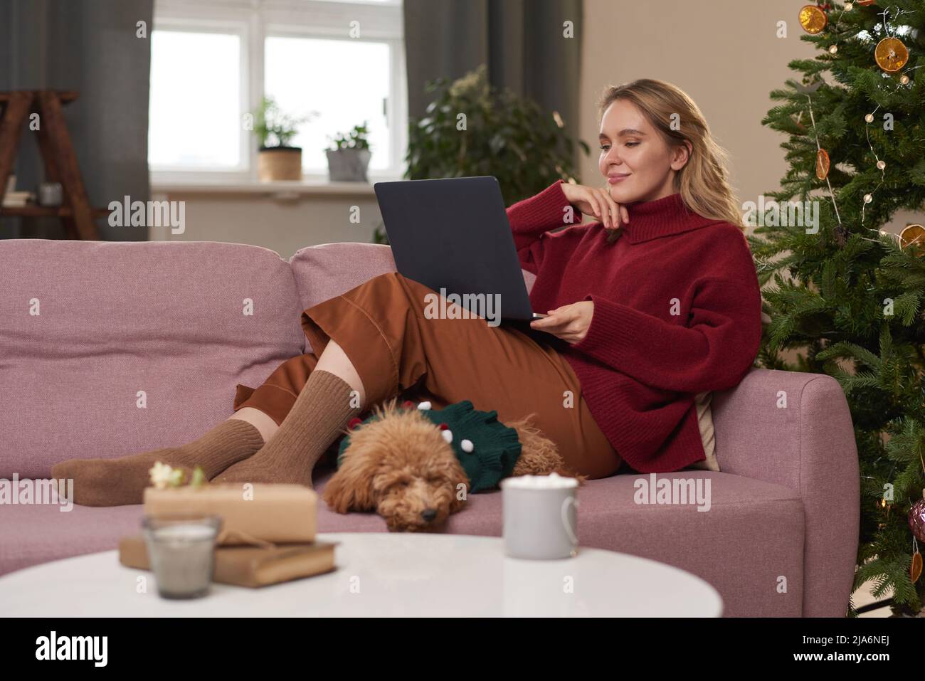 Schöne junge Frau in warmen Kleidern verbringen Weihnachtsmorgen zu Hause entspannen auf dem Sofa mit ihrem Hund im Wohnzimmer beobachten etwas in Inter Stockfoto