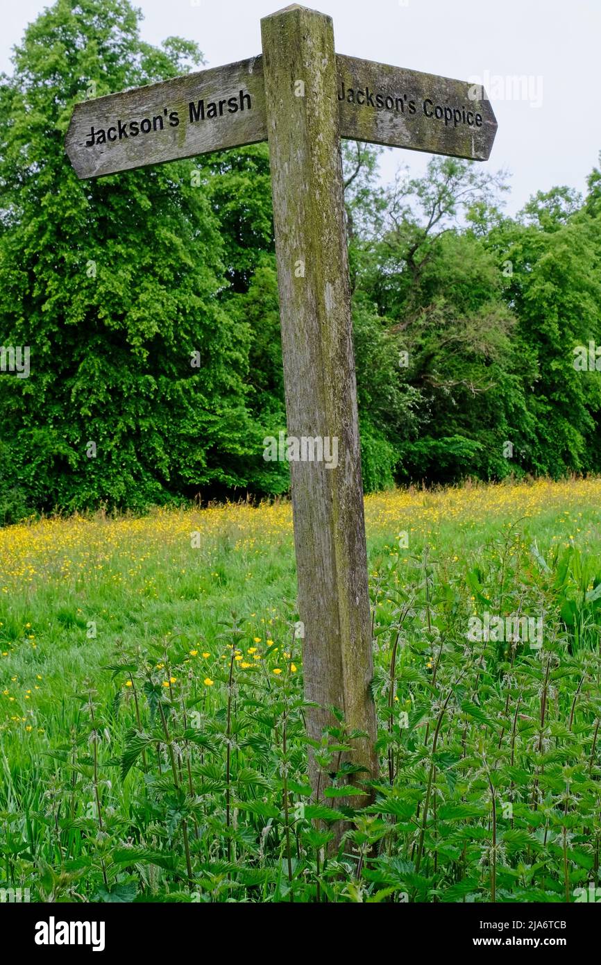 Jackson's Coppice und Marsh Stockfoto