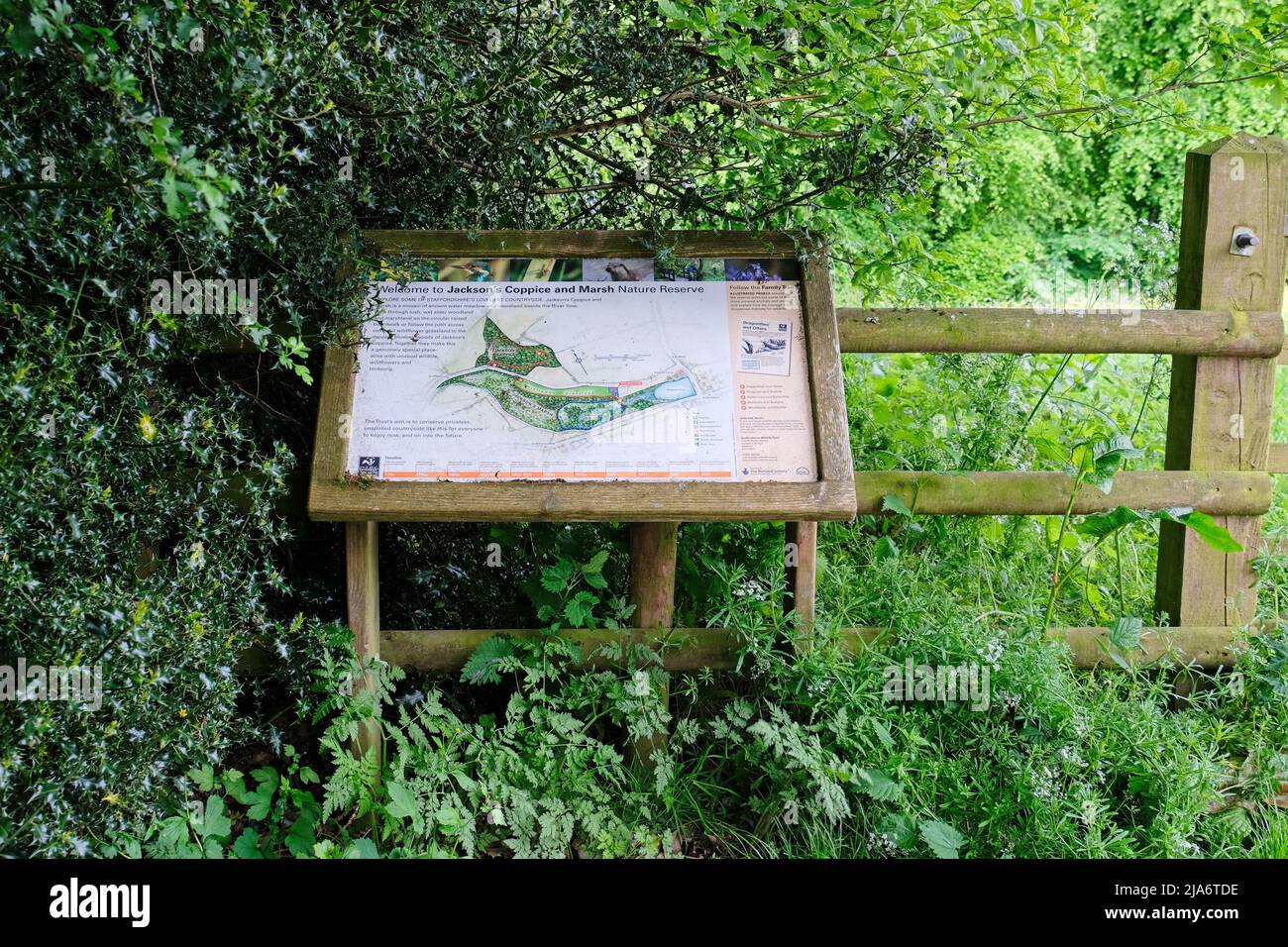 Jackson's Coppice und Marsh Stockfoto