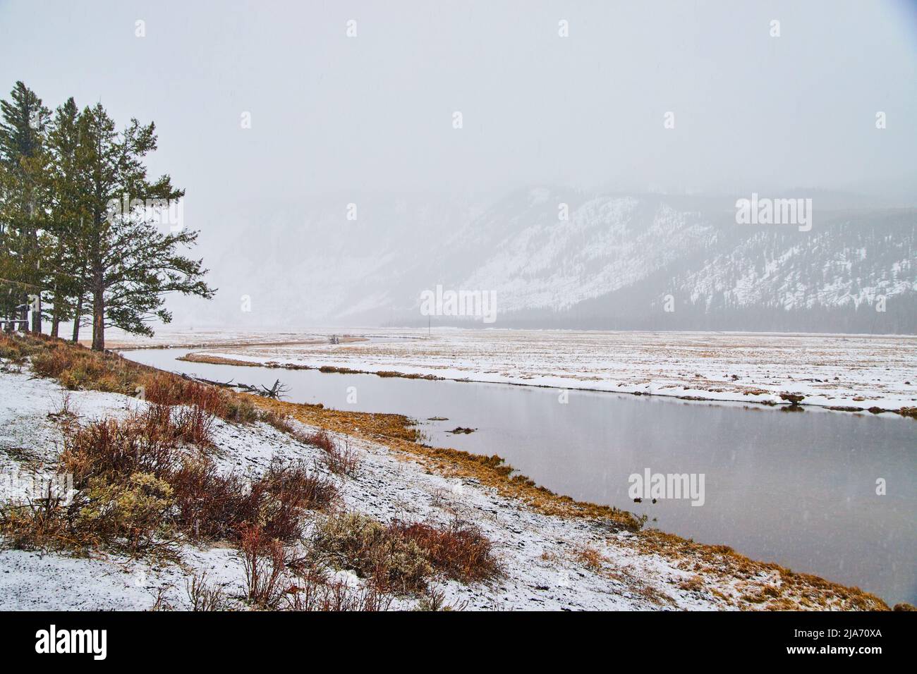 Nebliger Morgen am Yellowstone am Fluss und verschneite Berge Stockfoto