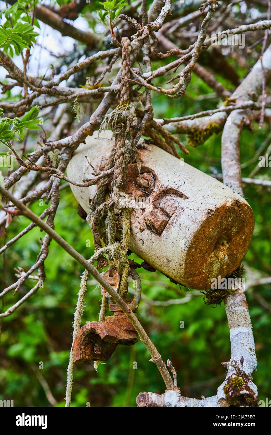 In Baumzweigen hängende Kugel aus Schaumstoff Stockfoto