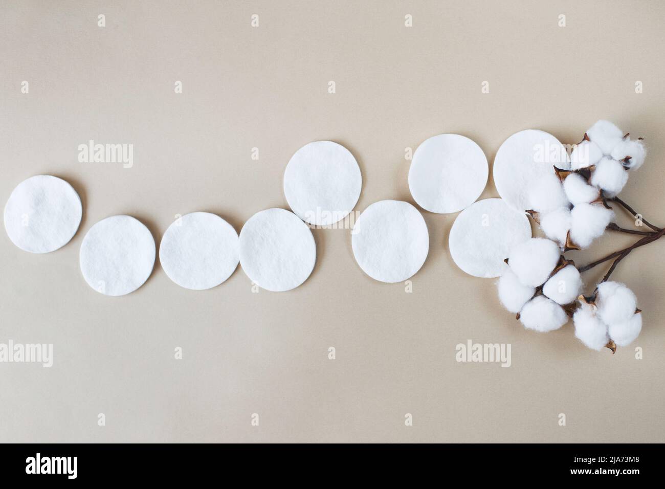 Flauschige Baumwollblumen-Wattepads auf beigem Hintergrund mit Kopierfläche. Hygienisches Einwegprodukt Stockfoto