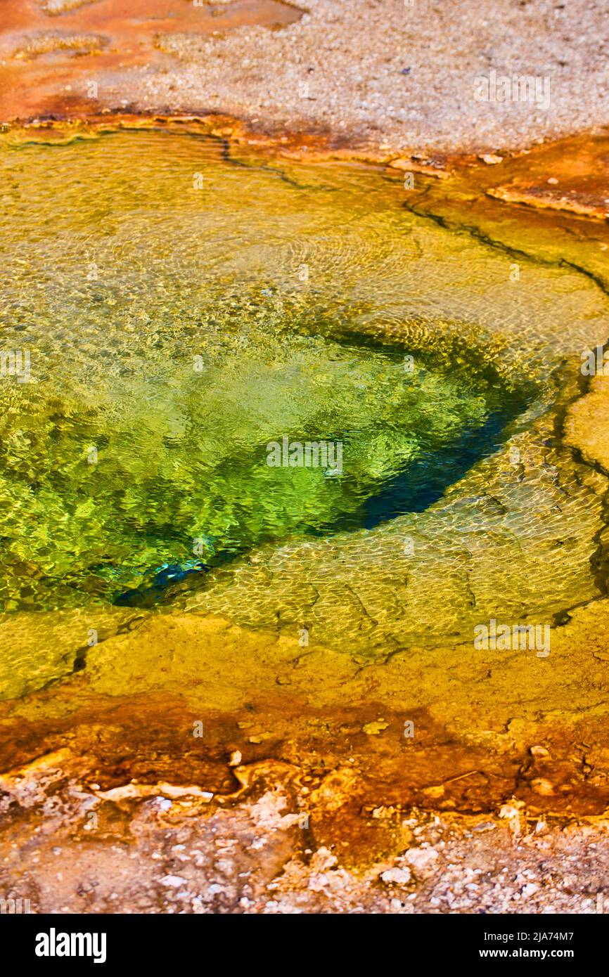 Grünes Wasser der Yellowstone-Quelle Stockfoto