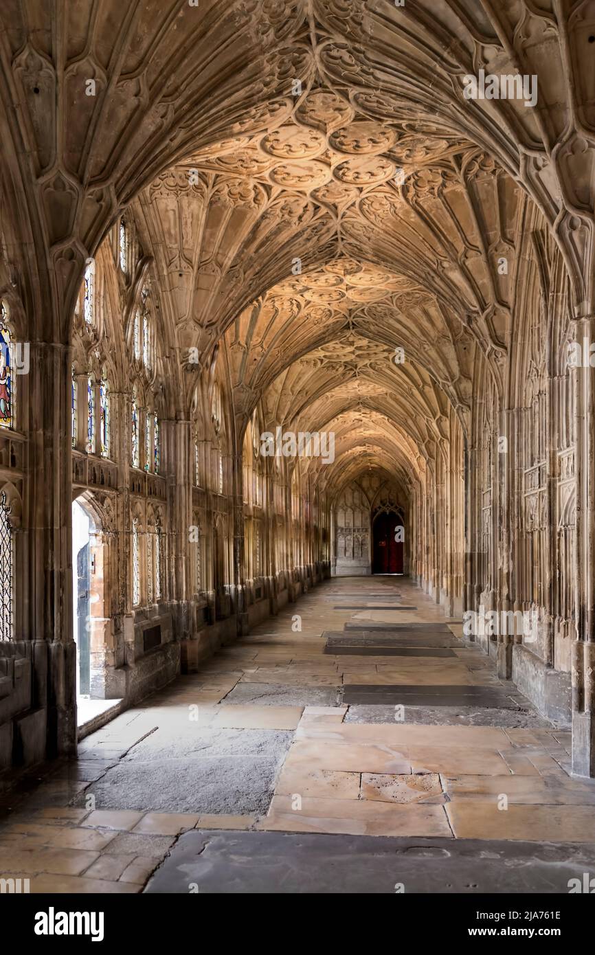 Innenansicht der Gloucester Cathedral Kreuzgänge aus dem 14.. Jahrhundert, Gloucestershire, England, Vereinigtes Königreich. Stockfoto