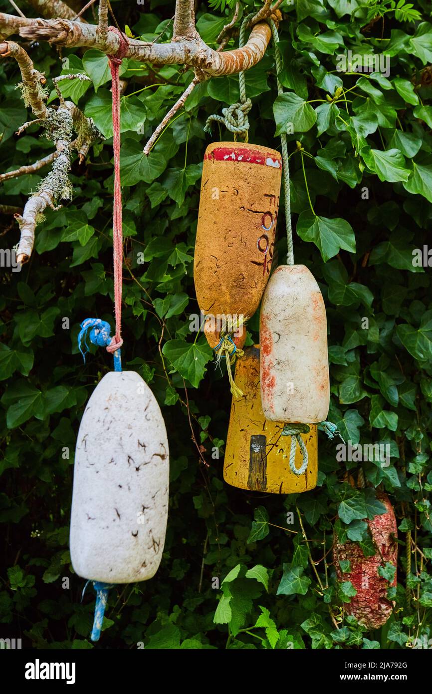 Kugel-Schaumstoff-Objekte schmücken Baum im Wald Stockfoto