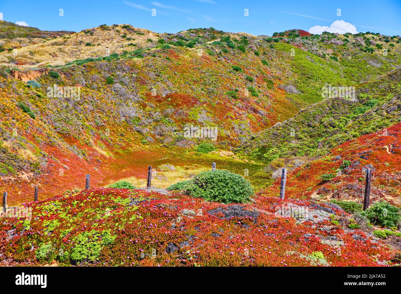 Hügel in bunten grünen und roten Frühlingsfarben mit Zaun bedeckt Stockfoto