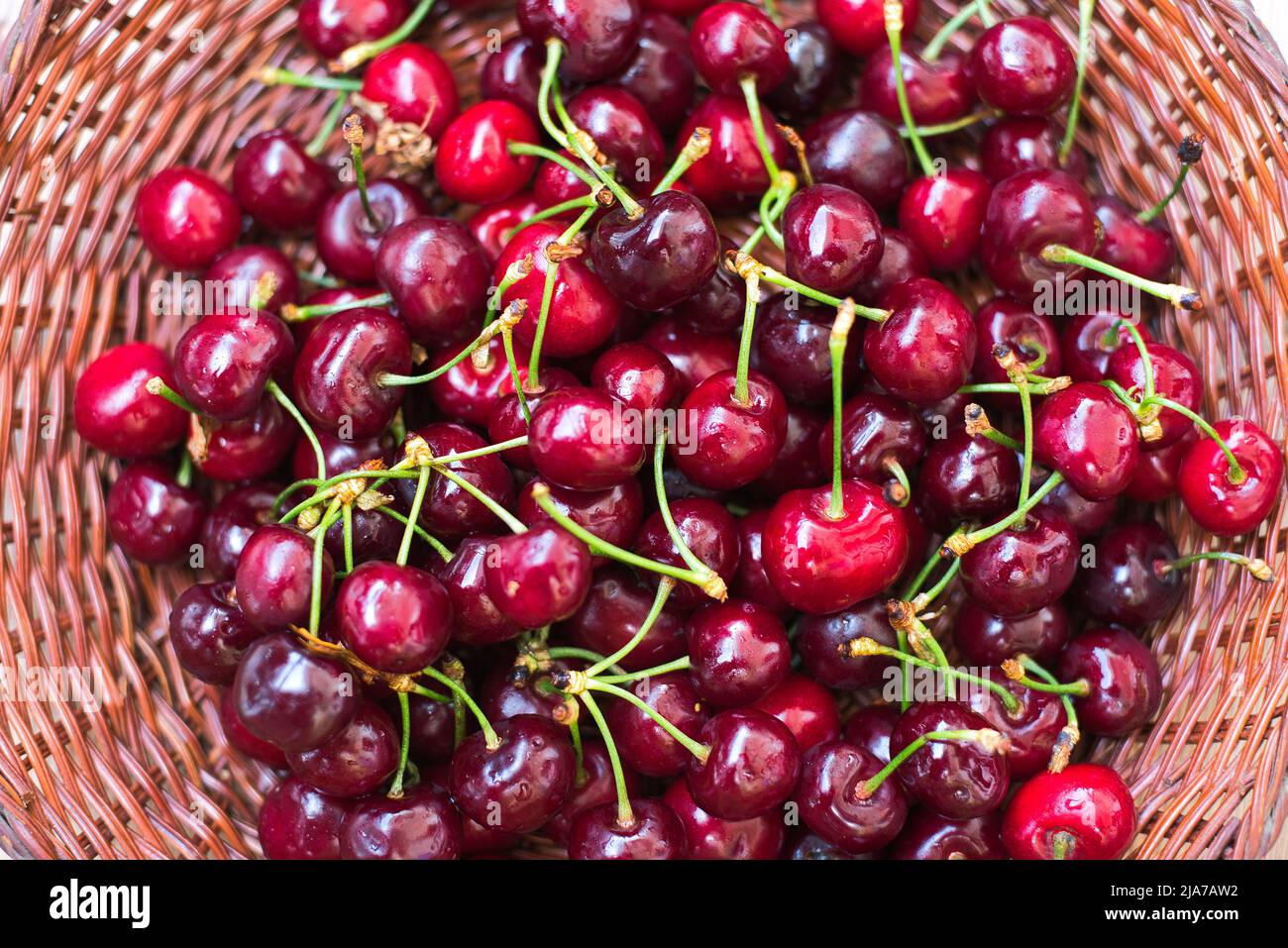 Frische rote Süßkirschen, in einem Weidenkorb auf Holzboden Stockfoto