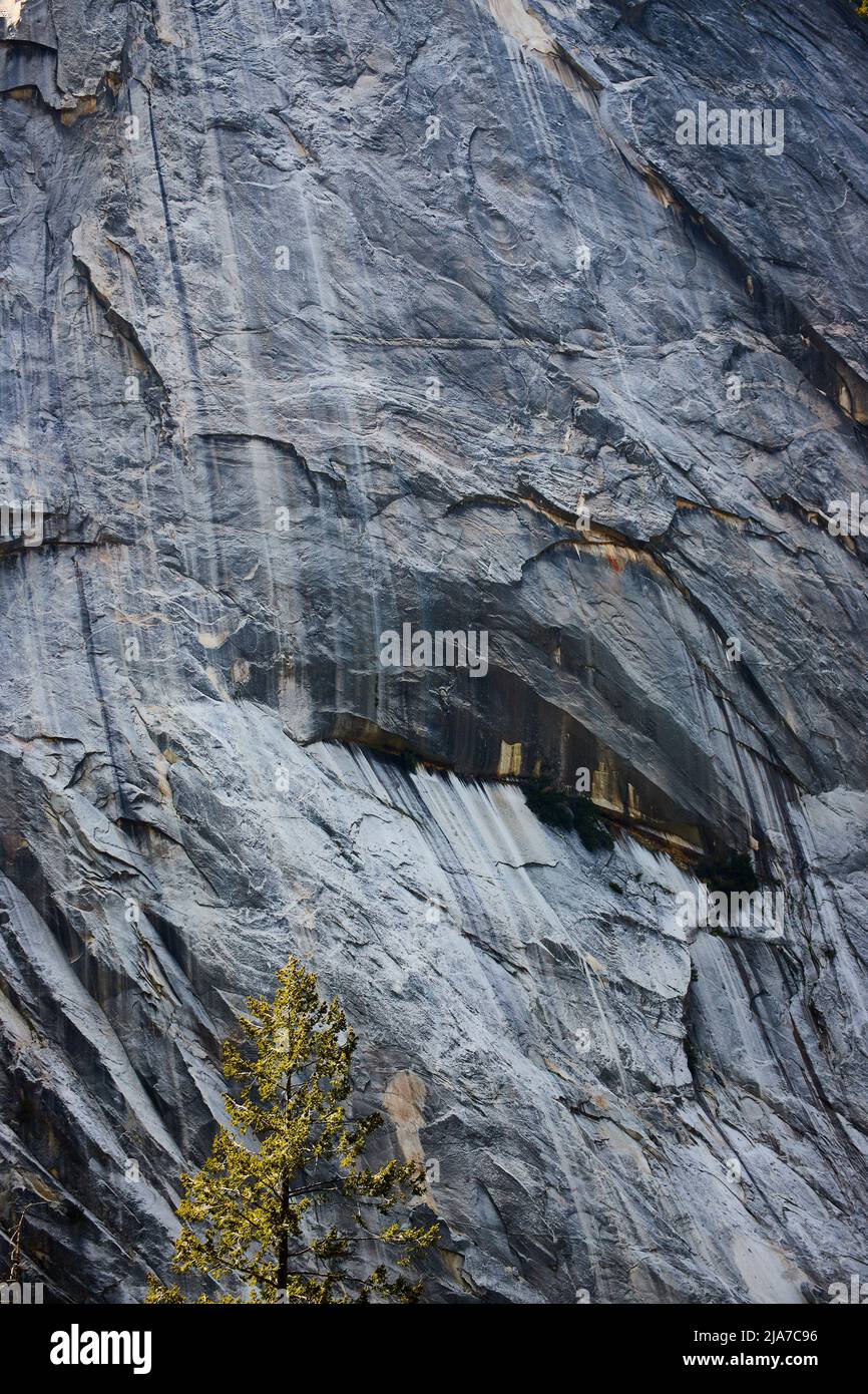 Detail der großen vertikalen grauen Felswand im Yosemite Stockfoto