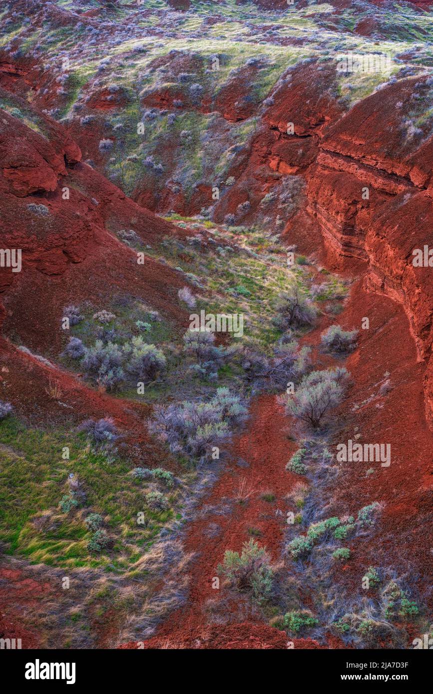 Farbenfrohe Flora und Geologie im Castle Valley außerhalb von Moab, Utah Stockfoto