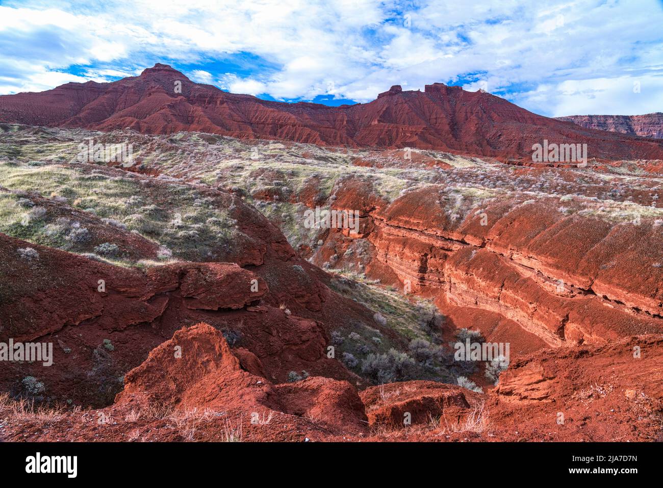 Farbenfrohe Flora und Geologie im Castle Valley außerhalb von Moab, Utah Stockfoto