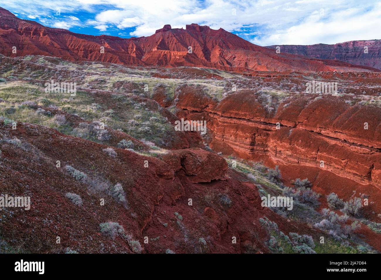 Farbenfrohe Flora und Geologie im Castle Valley außerhalb von Moab, Utah Stockfoto