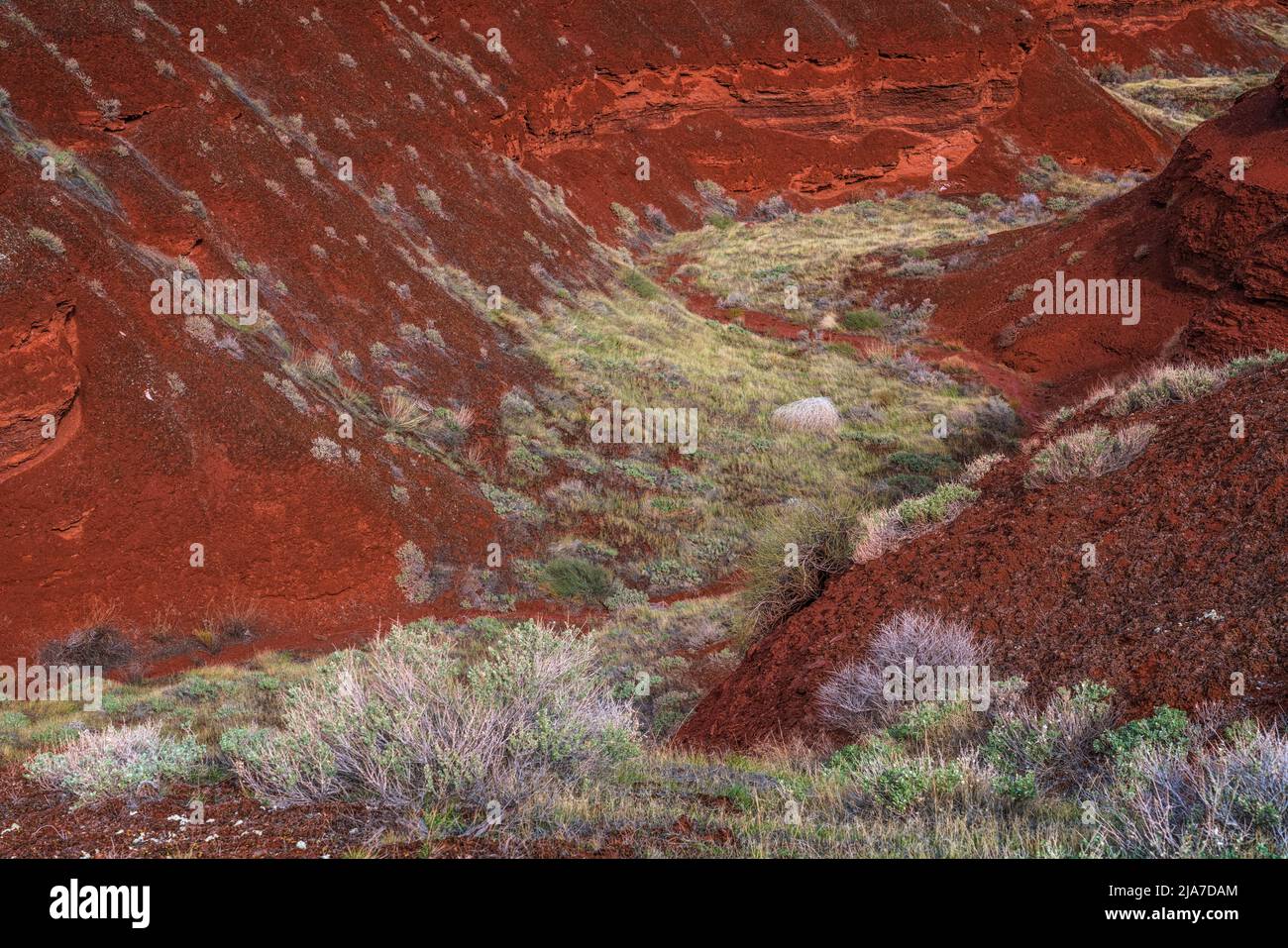 Farbenfrohe Flora und Geologie im Castle Valley außerhalb von Moab, Utah Stockfoto