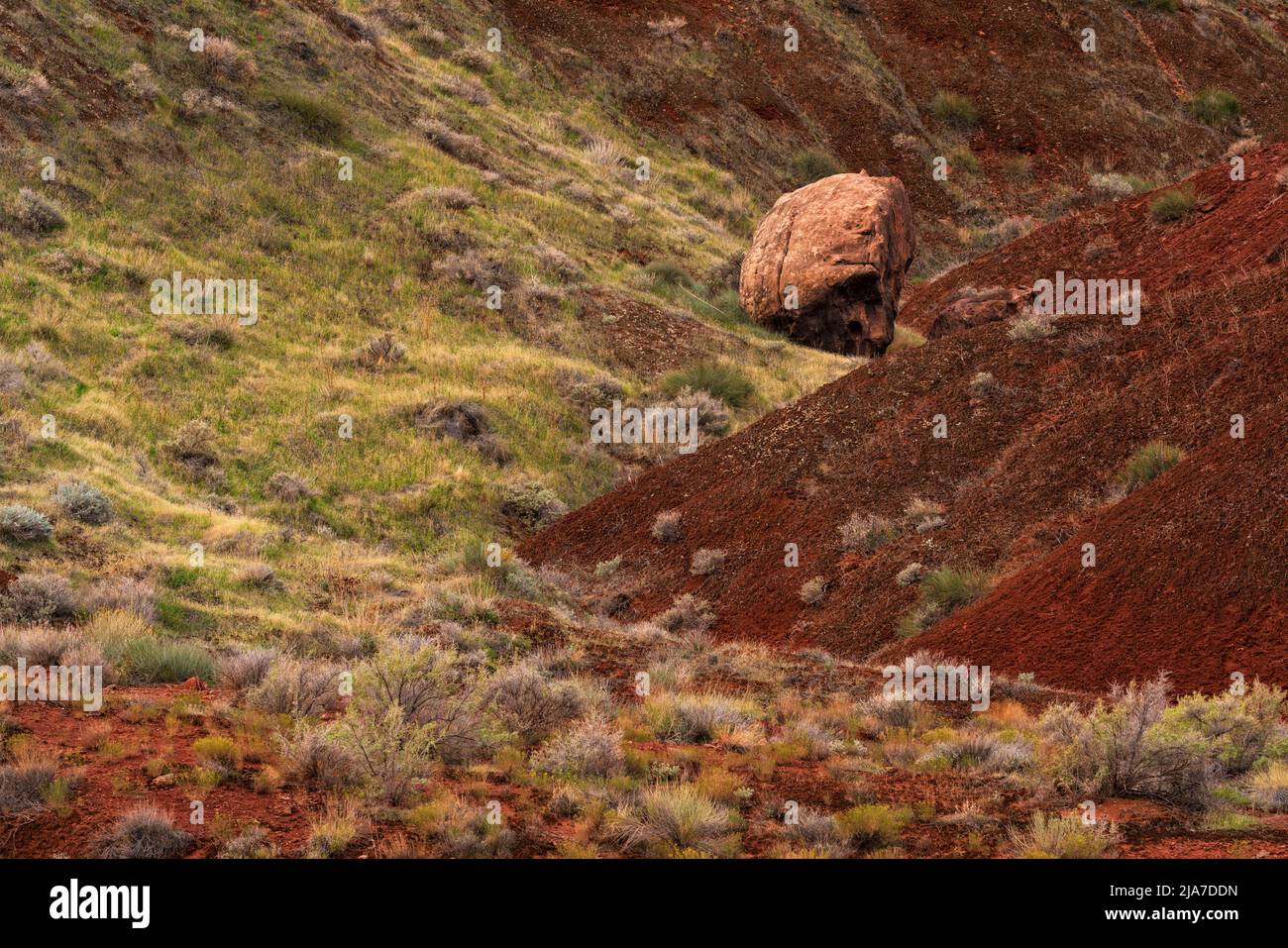 Farbenfrohe Flora und Geologie im Castle Valley außerhalb von Moab, Utah Stockfoto