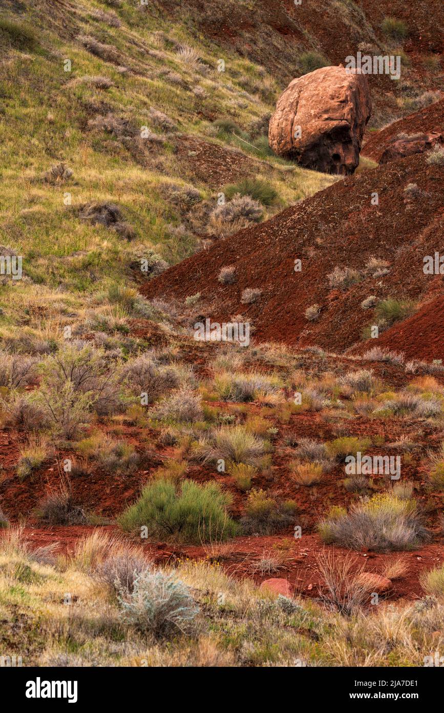 Farbenfrohe Flora und Geologie im Castle Valley außerhalb von Moab, Utah Stockfoto
