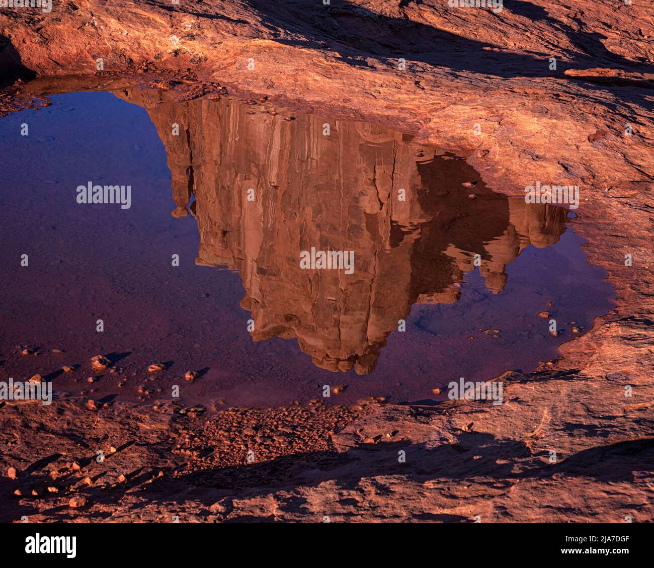 Die roten Felsen spiegeln sich in der Pfütze im Arches National Park in Utah wider Stockfoto