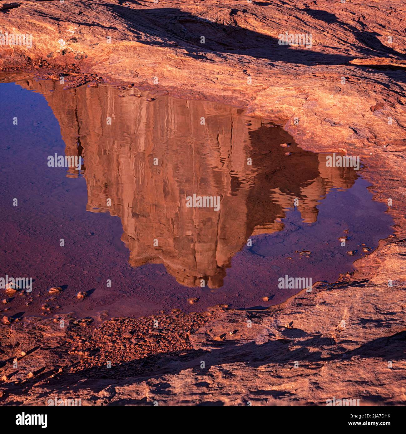 Die roten Felsen spiegeln sich in der Pfütze im Arches National Park in Utah wider Stockfoto
