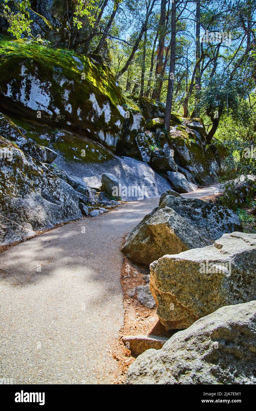 Wunderschöner Wanderweg, gesäumt von Felsbrocken und moosigen Felsen durch den Wald und hinauf zu den Yosemite Klippen Stockfoto