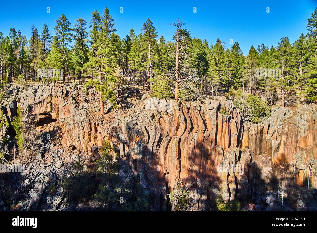 Schlucht mit welligen Felsformationen und Kiefernwald Stockfoto
