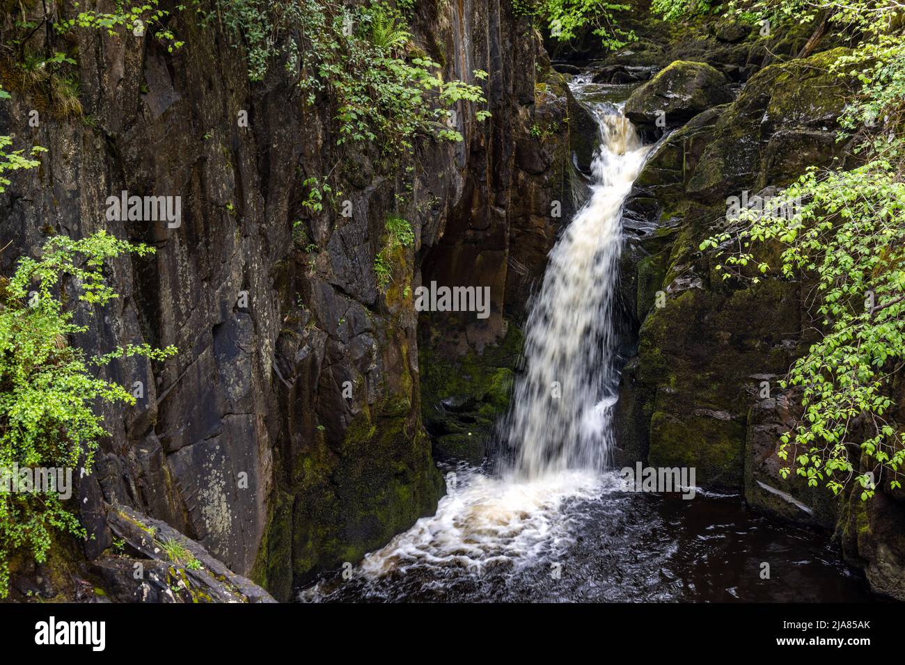 Hollybush Spout, einer der Wasserfälle auf dem Ingleton Waterfalls Trail in den Yorkshire Dales, North Yorkshire, England, Großbritannien Stockfoto
