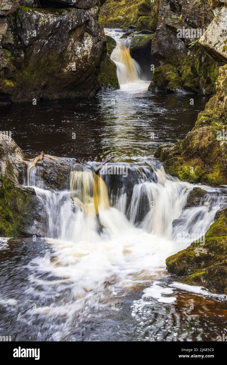 Schneefälle auf dem Fluss Doe auf dem Ingleton Waterfalls Trail im Yorkshire Dales National Park, North Yorkshire, England, Großbritannien Stockfoto