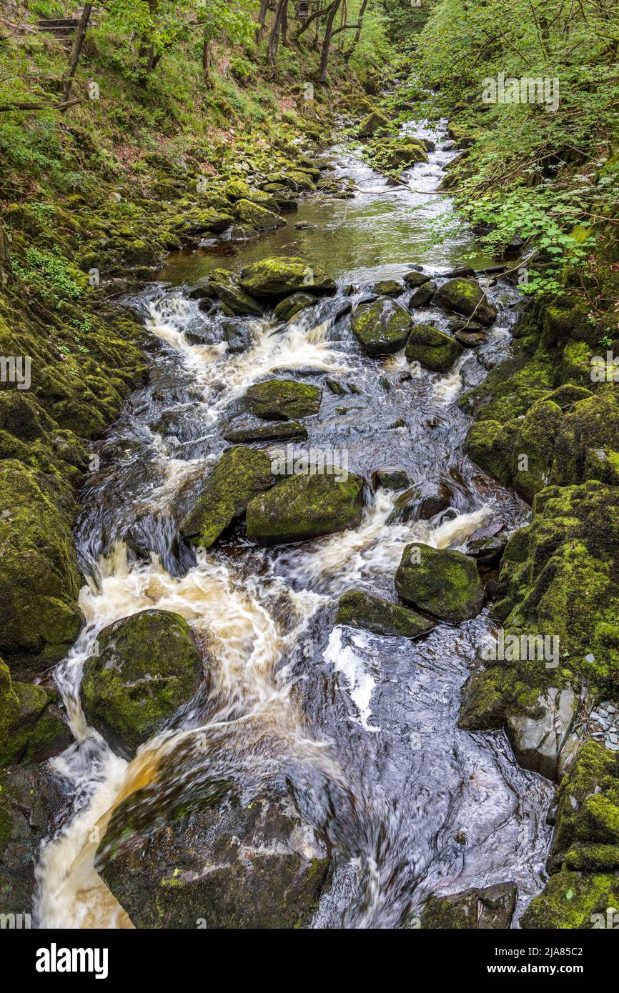 Schneefälle auf dem Fluss Doe auf dem Ingleton Waterfalls Trail im Yorkshire Dales National Park, North Yorkshire, England, Großbritannien Stockfoto