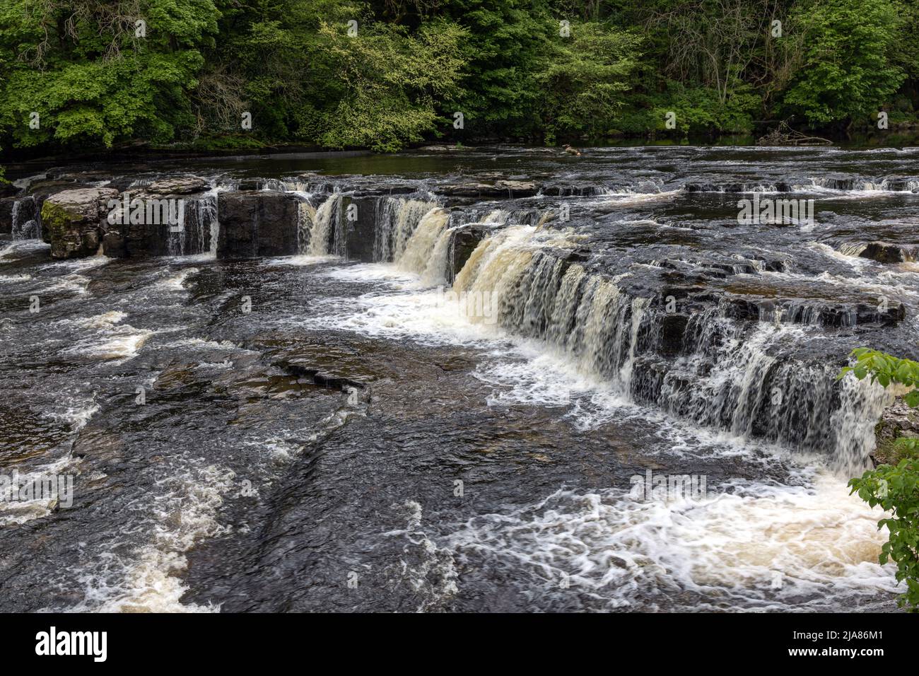 Aysgarth Upper Falls im Yorkshire Dales National Park am Fluss Ure in Wensleydale, England, Großbritannien Stockfoto