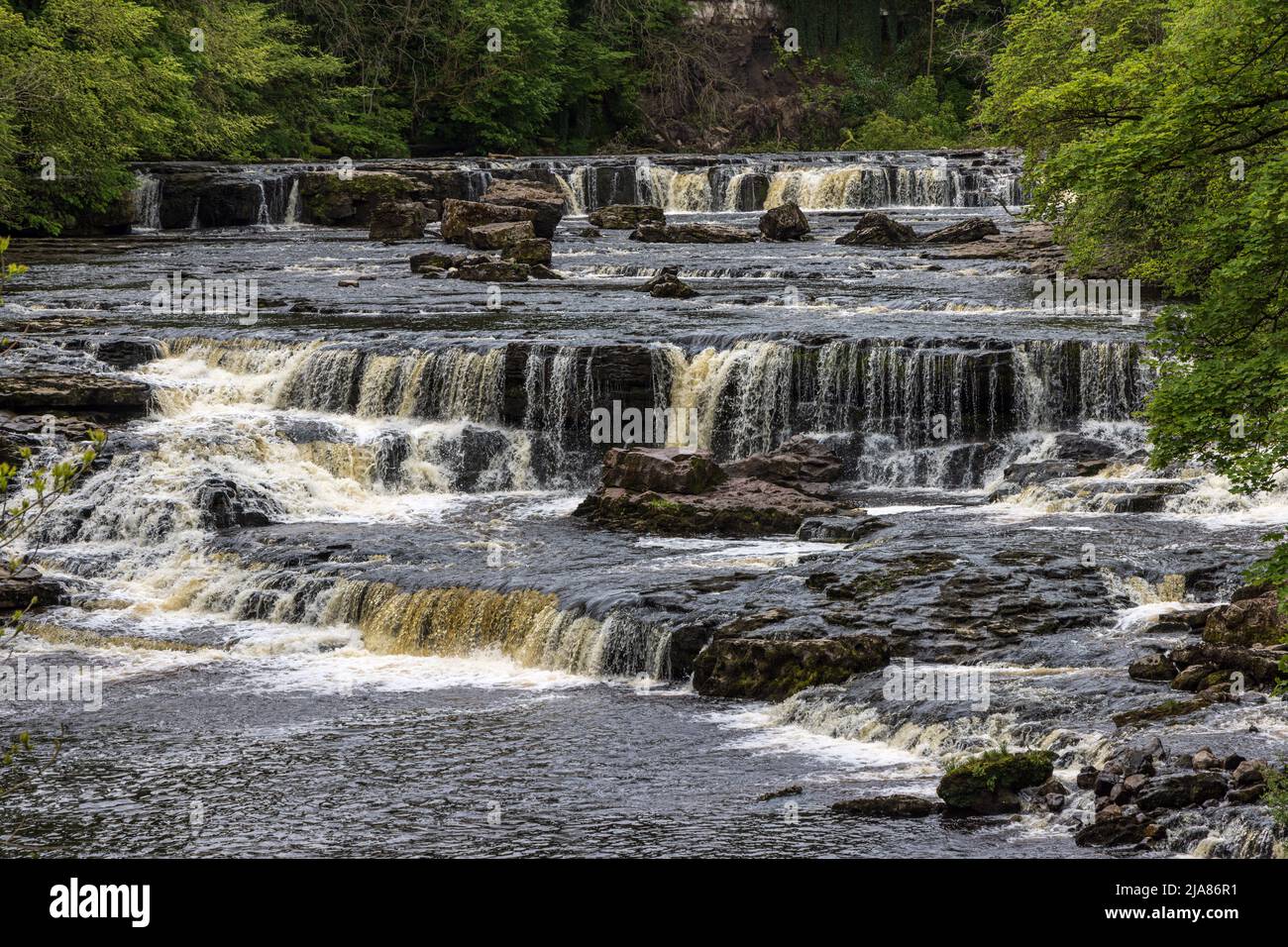 Aysgarth Upper Falls im Yorkshire Dales National Park am Fluss Ure in Wensleydale, England, Großbritannien Stockfoto