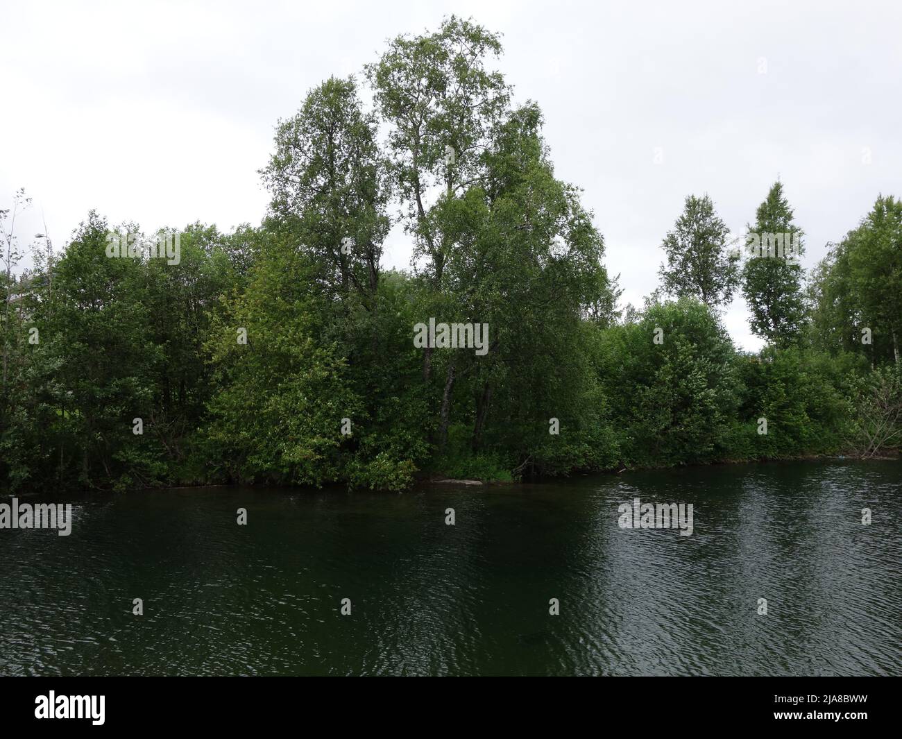 Der ruhige und ruhige Fluss Revelelva mit üppiger Vegetation am Flussufer. Mo i Rana, Norwegen. Stockfoto