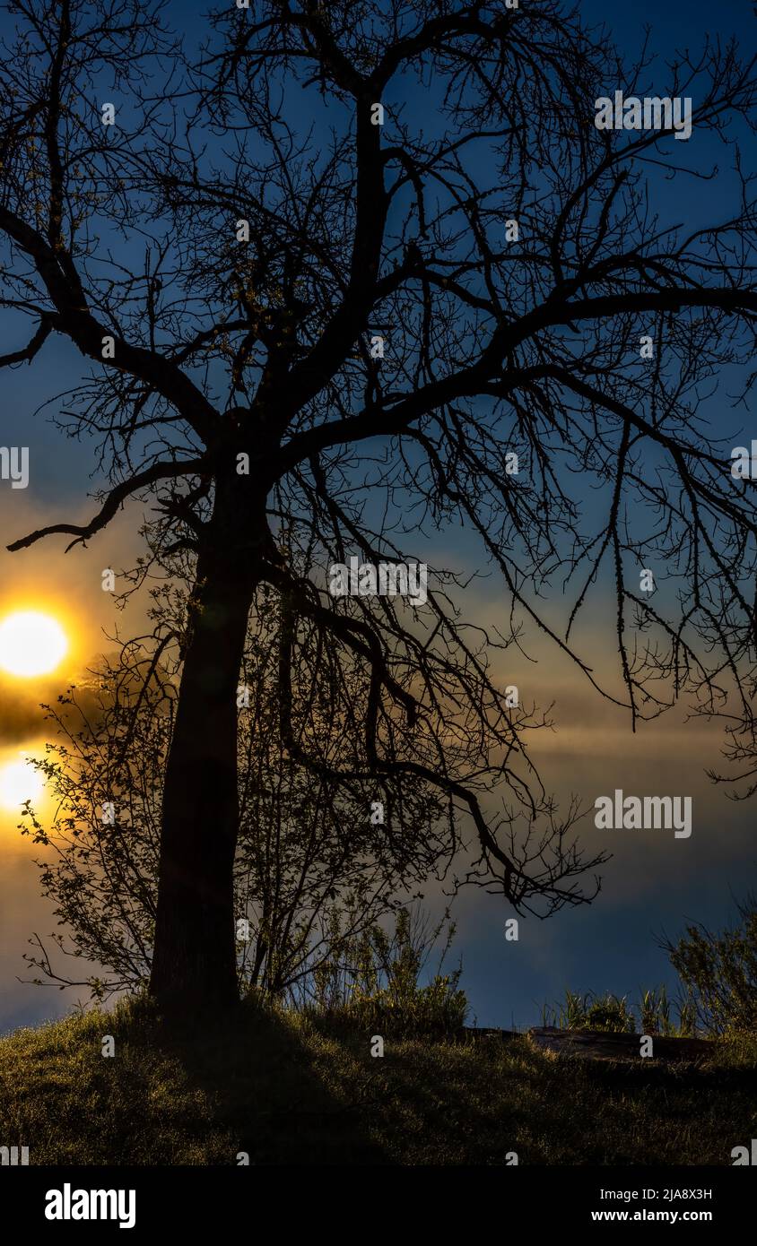 Sonnenaufgang auf dem Blaisdell Lake im Norden von Wisconsin. Stockfoto