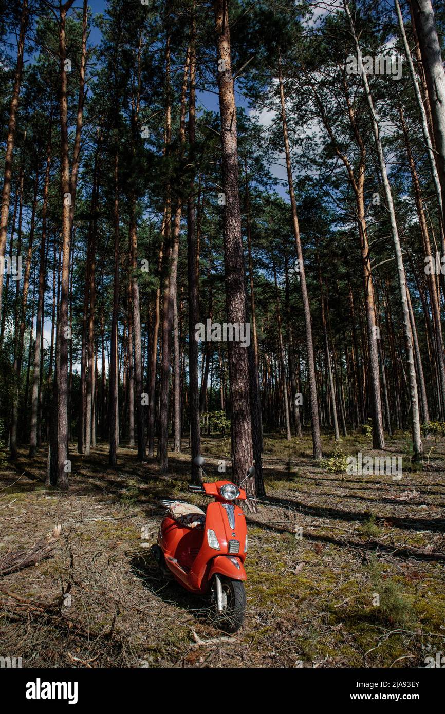 Schöner verlassener roter Roller allein mitten im Nirgendwo im Wald Stockfoto