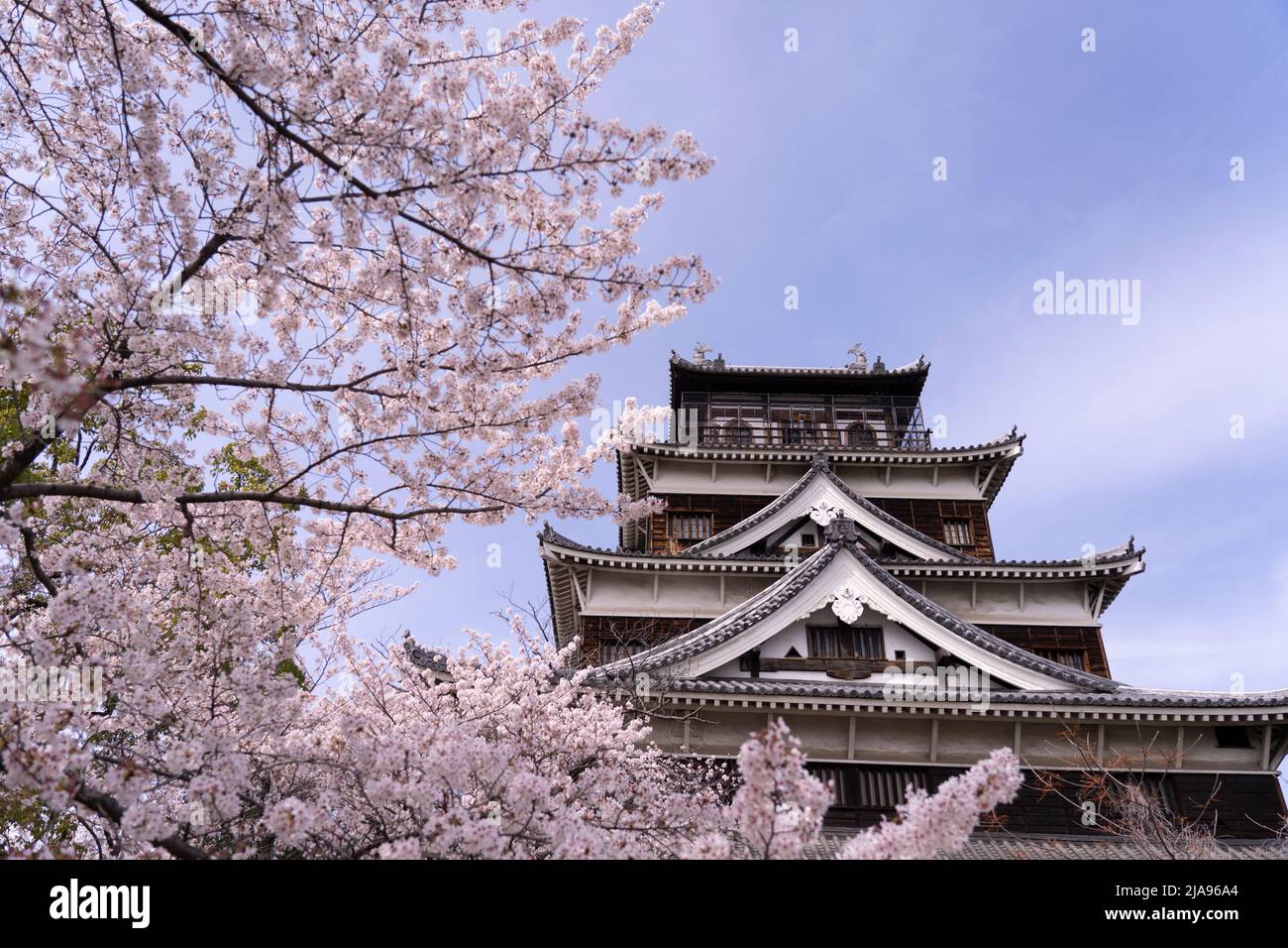 Hiroshima Castle und Kirschblüte, Hiroshima City, Western Honshu, Japan Stockfoto