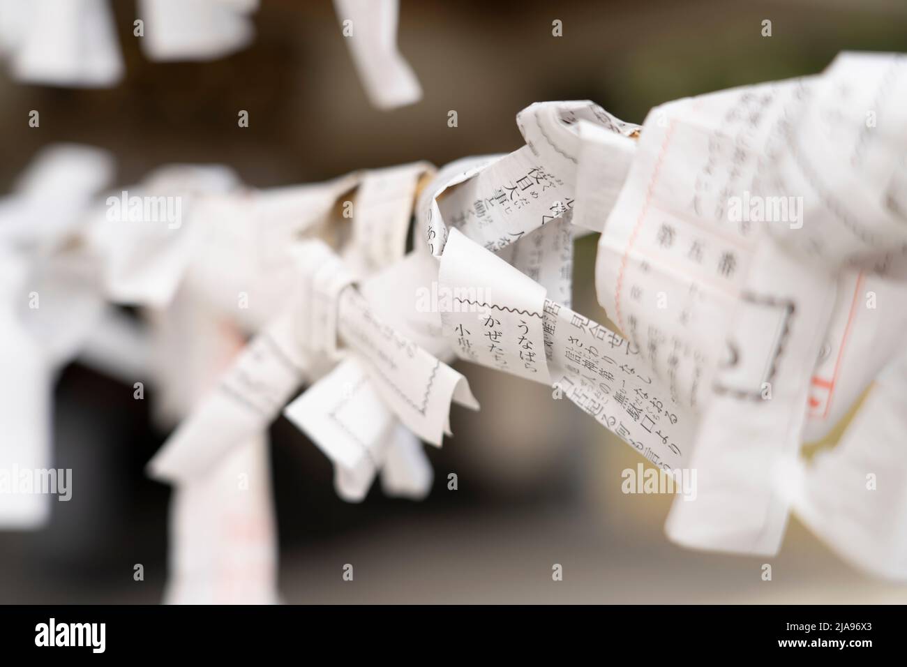 Omikuji Fortune Papers im Hiroshima Gokoku Shrine, Hiroshima City, Western Honshu, Japan Stockfoto
