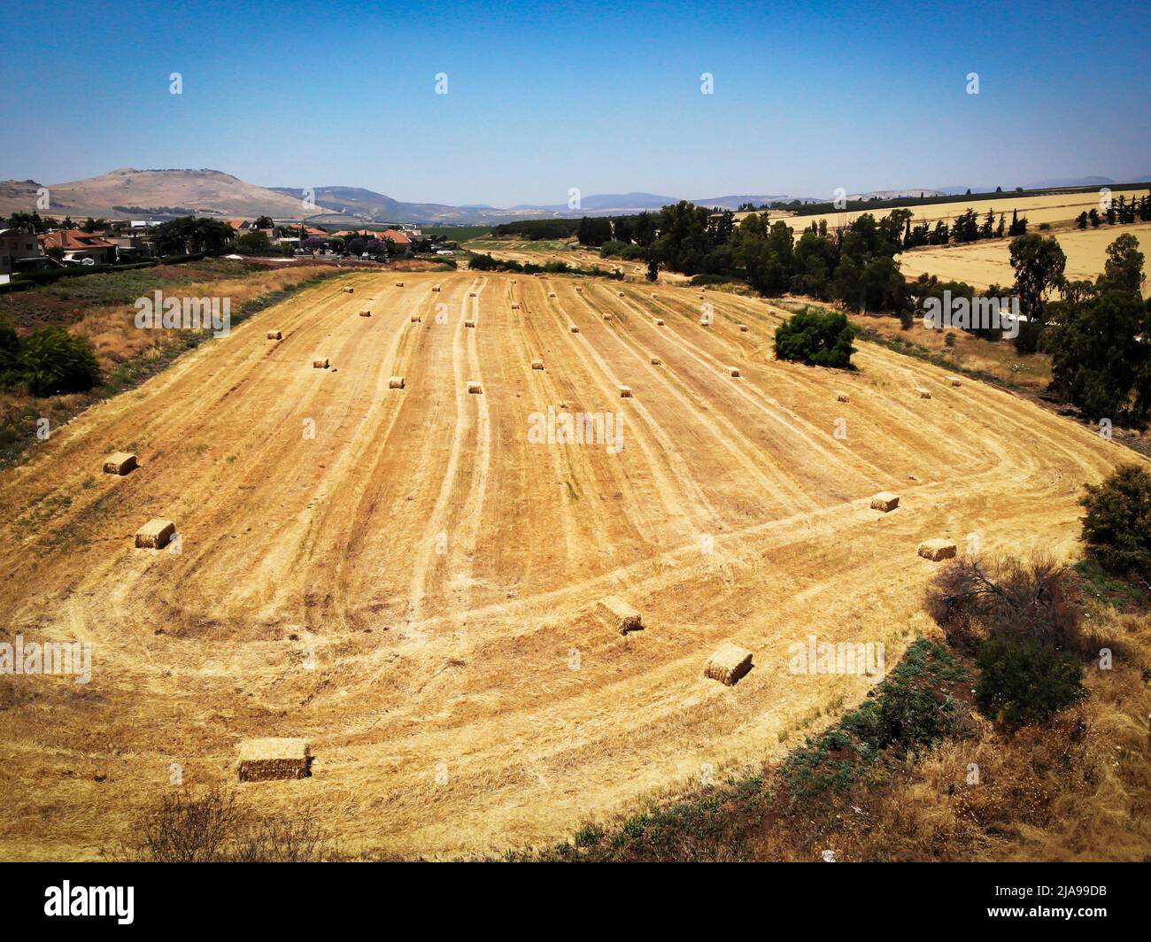 Luftaufnahme eines gepflügten Weizenfeldes mit Haufen Weizen nach der Ernte Stockfoto