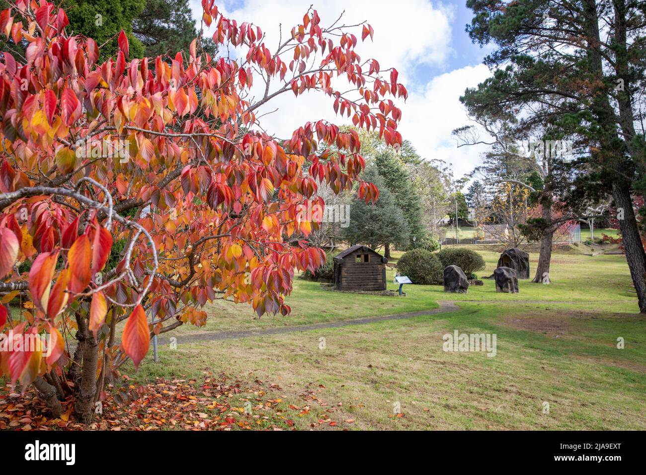 Mount Victoria Village in den Blue Mountains, NSW, Herbstfärbung im Memorial Park mit dem kleinen Zoo, NSW, Australien Stockfoto