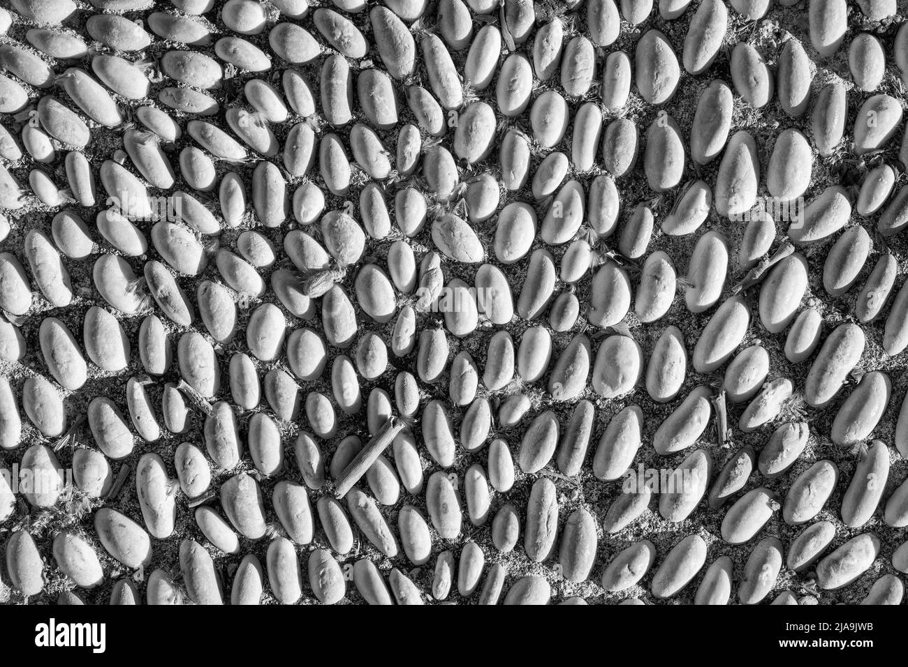 Antiker Weg aus glattem runden Stein aus dem Meer. Stockfoto