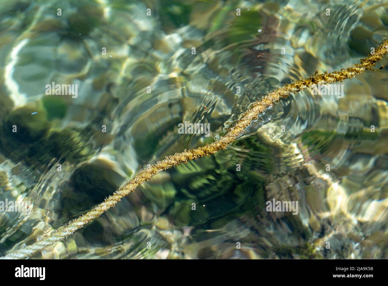Seil schwimmt an der Oberfläche auf dem Wasser mit Wasserwelligkeit. Stockfoto