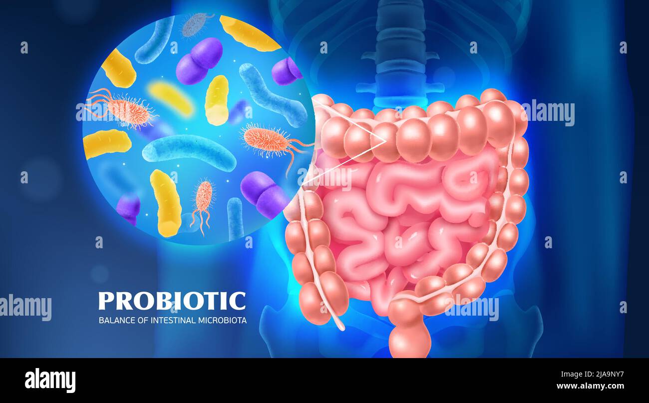 Probiotikum als Werkzeug für das Gleichgewicht der intestinalen Mikrobiota Werbung Hintergrund realistische Vektor-Illustration Stock Vektor