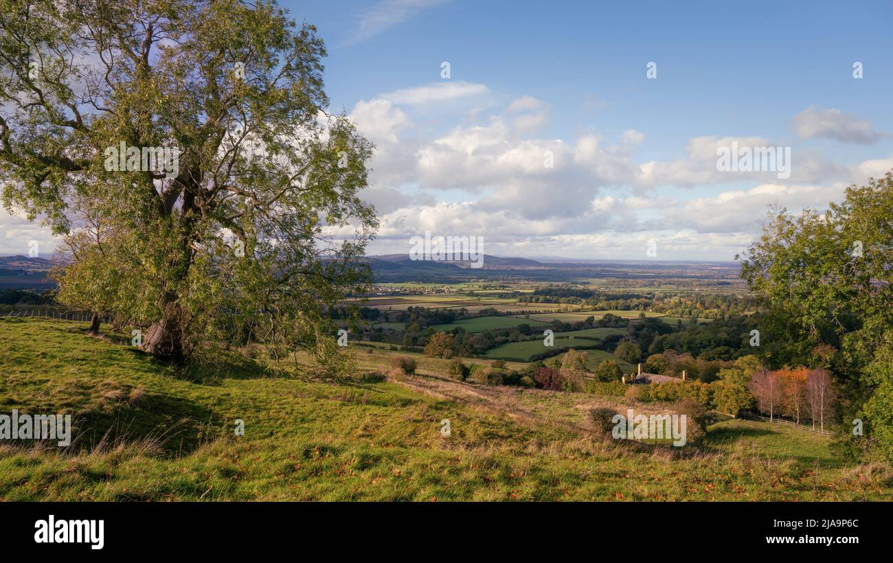 Land in Lower Coscombe, Cotswolds, Gloucestershire, England. Stockfoto