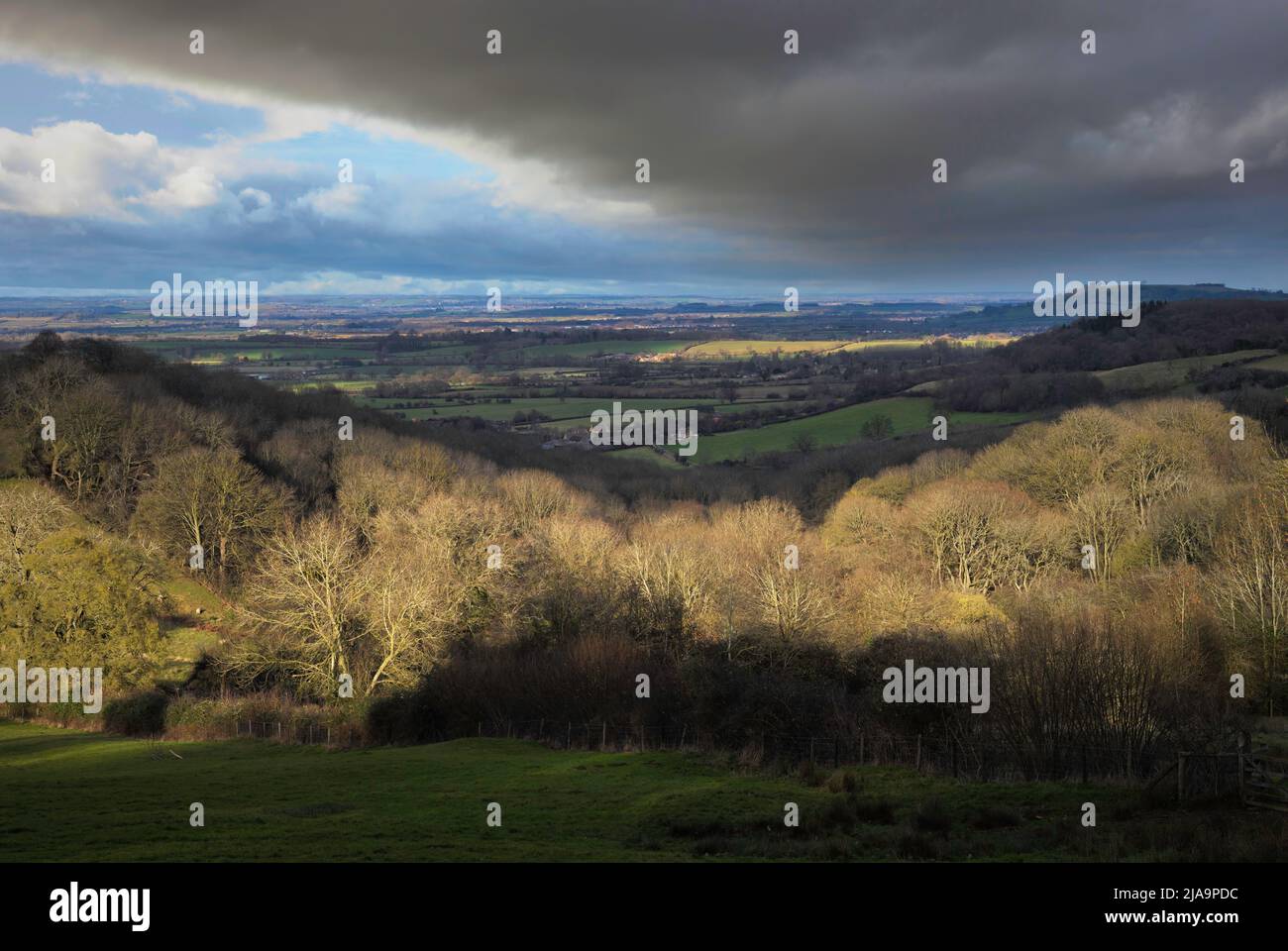 Land im Norden von Cotswold, Gloucestershire, England. Stockfoto