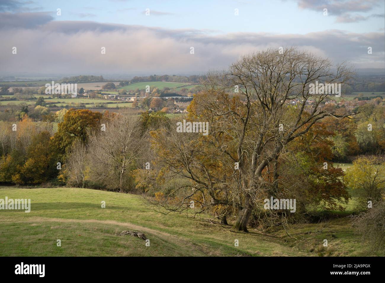 Land im Norden von Cotswold, Gloucestershire, England Stockfoto