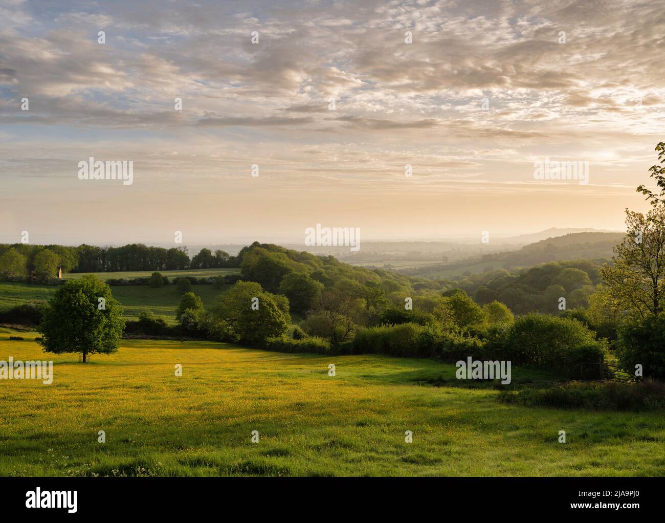 North Cotswolds in der Nähe von Chipping Campden im Morgengrauen, England Stockfoto
